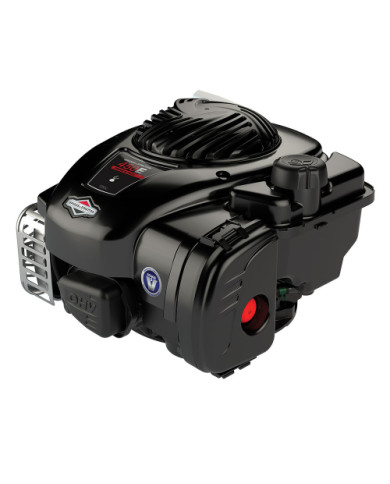 Briggs&Straton 450E OHV internal combustion engine Briggs & Stratton - Specifications:  Weight: 8.2kg Dimensions: length 347 x w