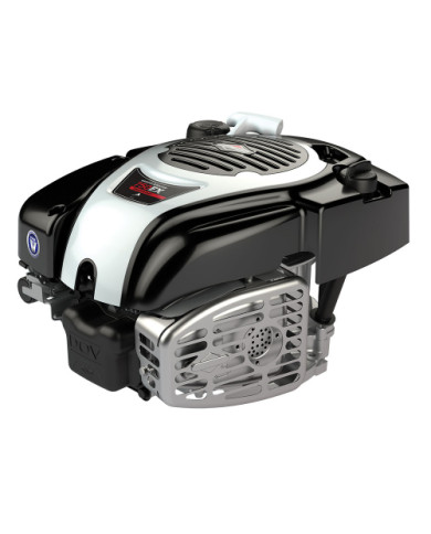 Briggs&Straton 750EX DOV 52mm x 22.2mm internal combustion engine Briggs & Stratton - Specifications:  Weight: 11.1kg Dimensions