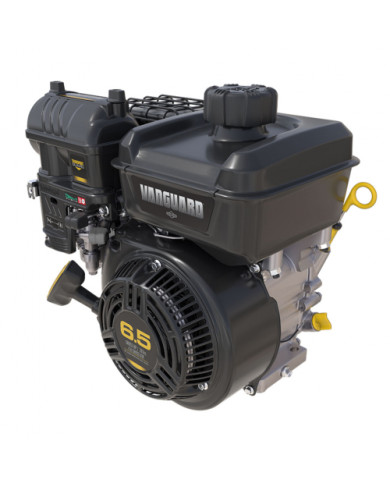 Briggs&Straton VANGUARD internal combustion engine - 6,5HP 62mm x 19,05mm Briggs & Stratton - Specifications:  Weight: 17.9kg Di