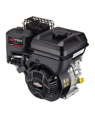 Briggs&Straton XR750 internal combustion engine - I/C Briggs & Stratton - Technical data:  Weight: 15.5kg Dimensions: length 259