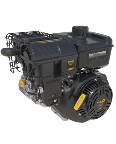 B&S Vanguard 400 - 14 HP Cyclone 25,4mm motor Briggs & Stratton - 