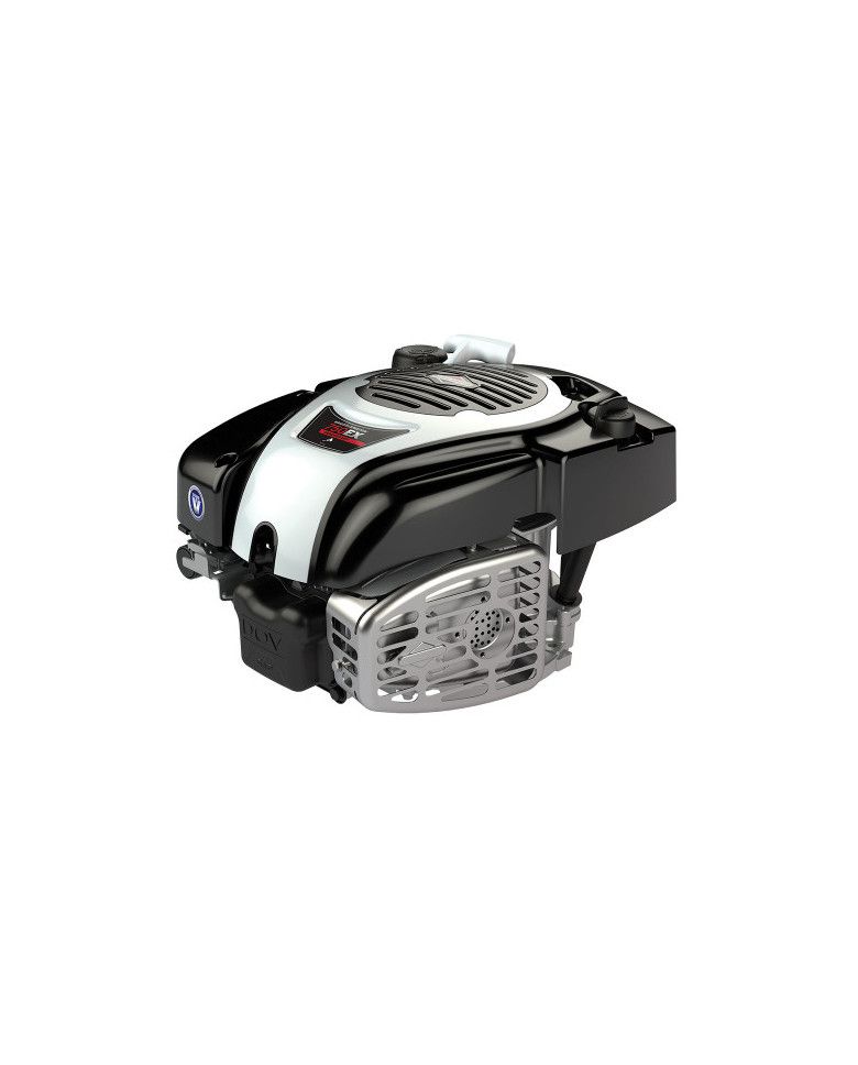 Briggs&Straton 750EX DOV 72mm x 22.2mm internal combustion engine Briggs & Stratton - Specifications:

Weight: 11.1kg
Dimensions