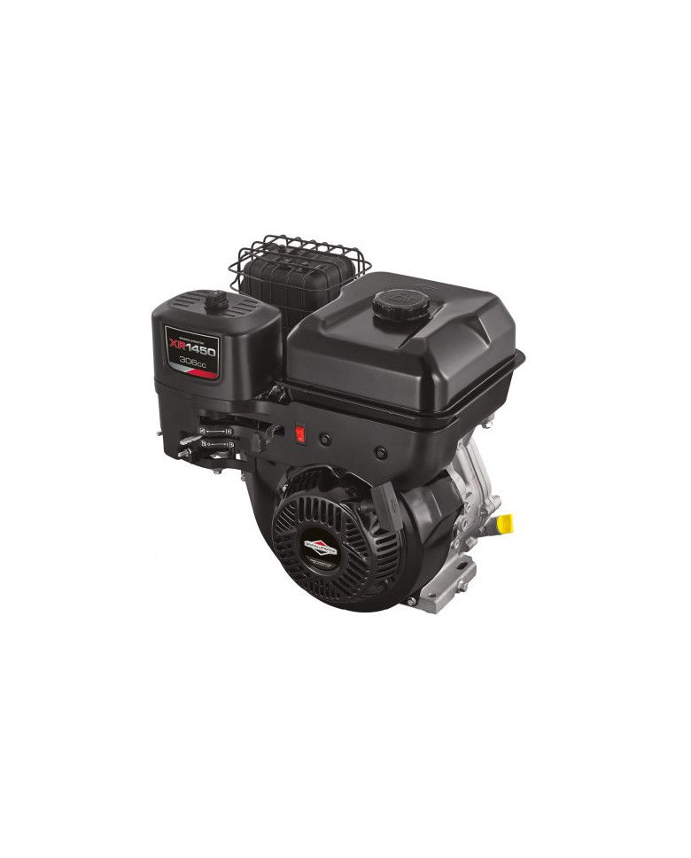 Briggs&Straton XR1450 internal combustion engine - I/C Briggs & Stratton - Technical data:  Weight: 25kg Dimensions: length 259 