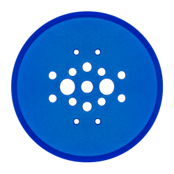 Tarcza szlifierska Toolsa TSC 250 (miękki beton)