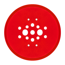 Głowica tarcza szlifierska TOOLSA THC 250 ( grit 30 twardy beton)