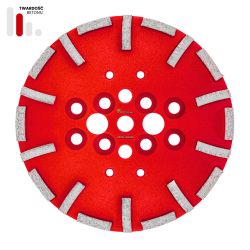 Toolsa THC 250 Diamond Grinding Disc, Hard Concrete (Grit 30)