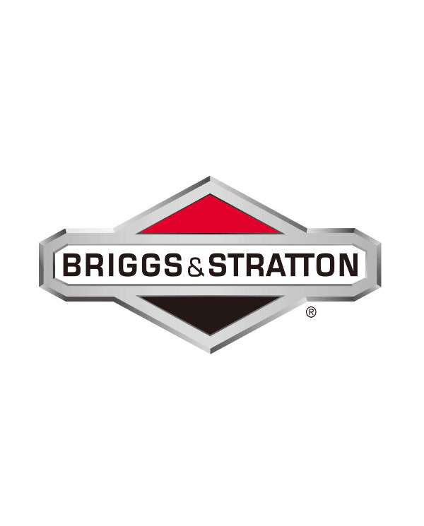 Briggs & Stratton