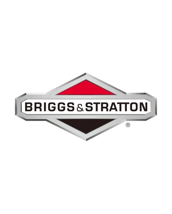 Briggs & Stratton