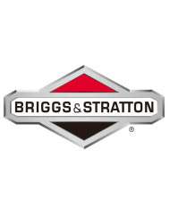 Briggs & Stratton